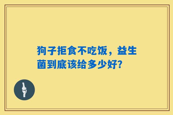 狗子拒食不吃饭，益生菌到底该给多少好？