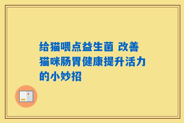 给猫喂点益生菌 改善猫咪肠胃健康提升活力的小妙招