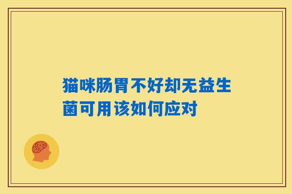 猫咪肠胃不好却无益生菌可用该如何应对