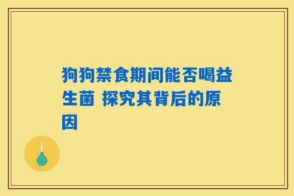 狗狗禁食期间能否喝益生菌 探究其背后的原因