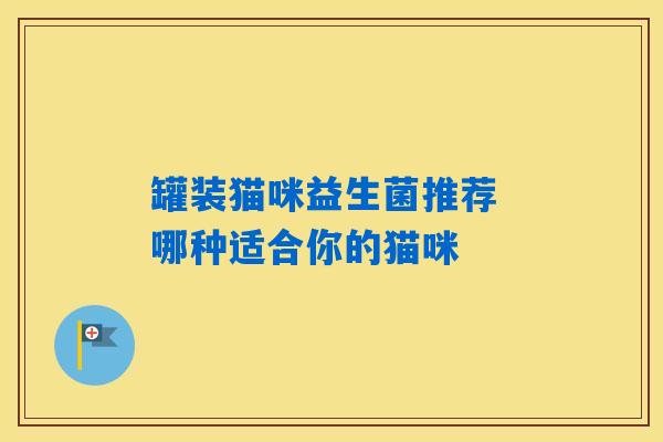 罐装猫咪益生菌推荐 哪种适合你的猫咪