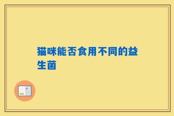 猫咪能否食用不同的益生菌
