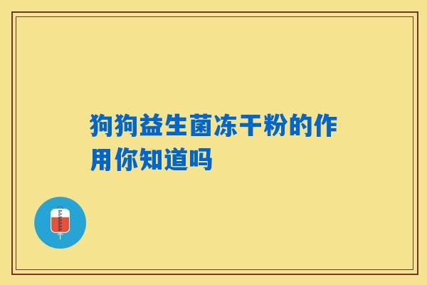 狗狗益生菌冻干粉的作用你知道吗