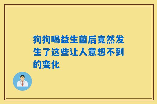 狗狗喝益生菌后竟然发生了这些让人意想不到的变化