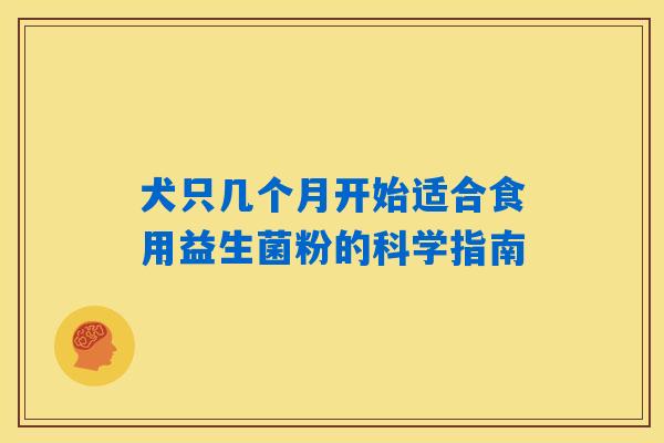 犬只几个月开始适合食用益生菌粉的科学指南