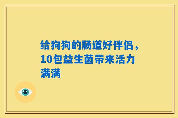 给狗狗的肠道好伴侣，10包益生菌带来活力满满