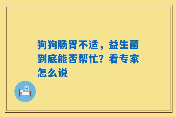狗狗肠胃不适,益生菌到底能否帮忙?看专家怎么说 狗狗肠胃不适,益生菌到底能否帮忙?看专家怎么说