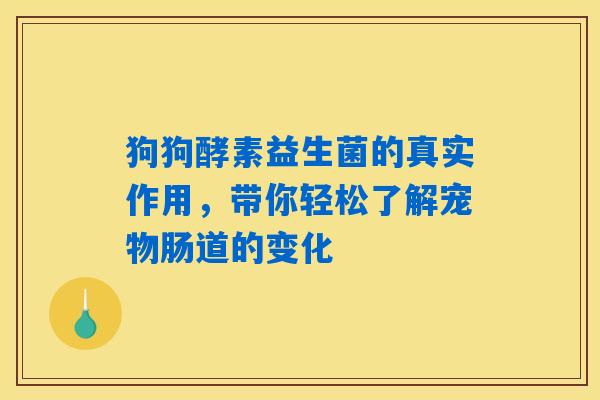 狗狗酵素益生菌的真实作用,带你轻松了解宠物肠道的变化 狗狗酵素益生菌的真实作用,带你轻松了解宠物肠道的变化
