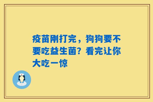 疫苗刚打完，狗狗要不要吃益生菌？看完让你大吃一惊