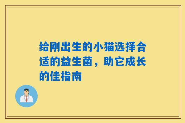 给刚出生的小猫选择合适的益生菌，助它成长的佳指南