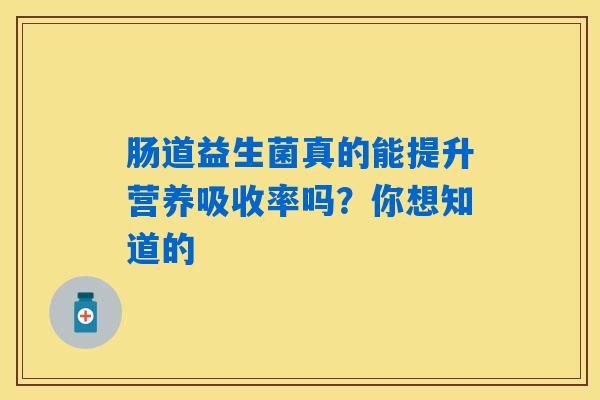 肠道益生菌真的能提升营养吸收率吗?你想知道的 肠道益生菌真的能提升营养吸收率吗?你想知道的