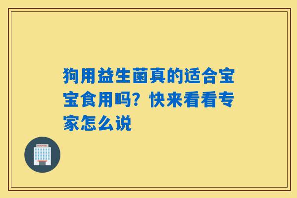 狗用益生菌真的适合宝宝食用吗？快来看看专家怎么说