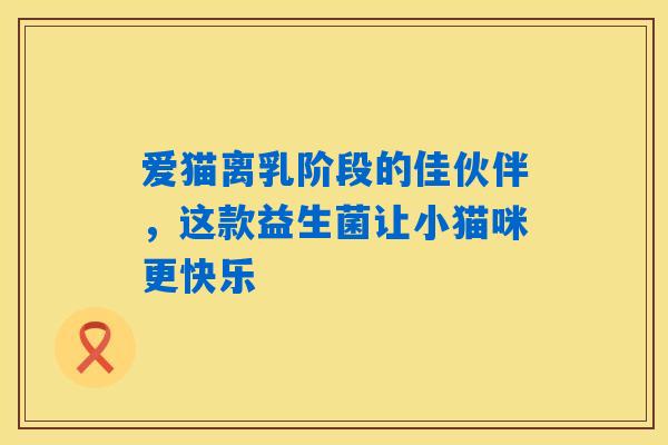 爱猫离乳阶段的佳伙伴，这款益生菌让小猫咪更快乐