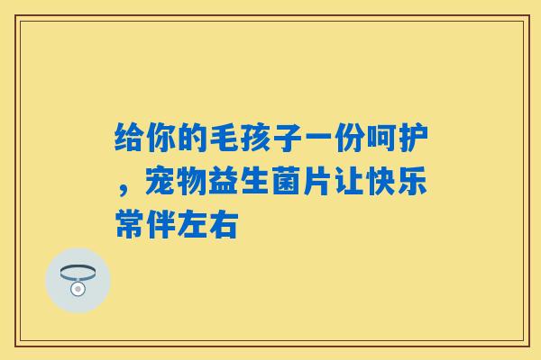 给你的毛孩子一份呵护，宠物益生菌片让快乐常伴左右