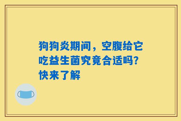 狗狗炎期间，空腹给它吃益生菌究竟合适吗？快来了解