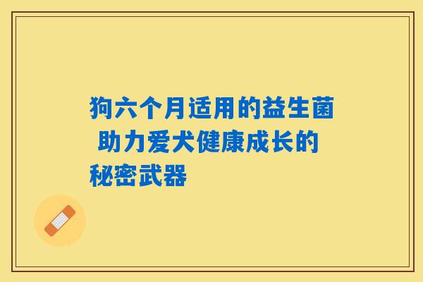 详细阅读:狗六个月适用的益生菌 助力爱犬健康成长的秘密武器 狗六个月适用的益生菌 助力爱犬健康成长的秘密武器